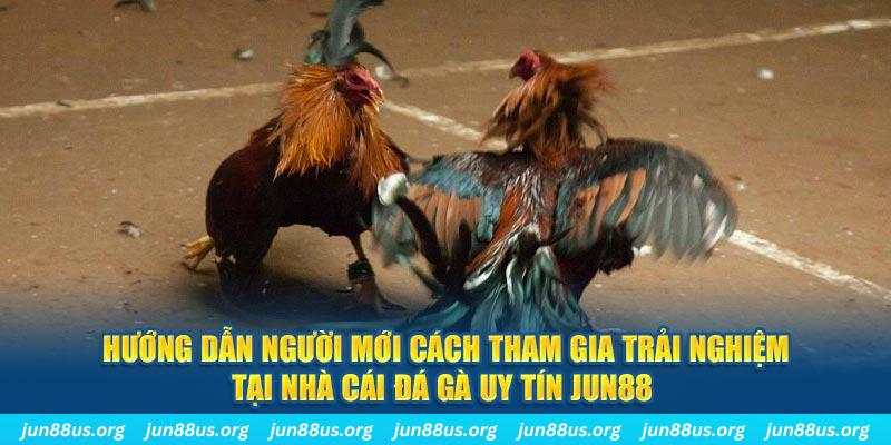 socvip CQ9 Điện Tử
