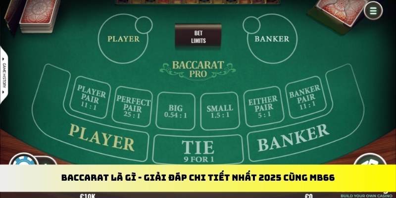 socvip gà chọi cu cần