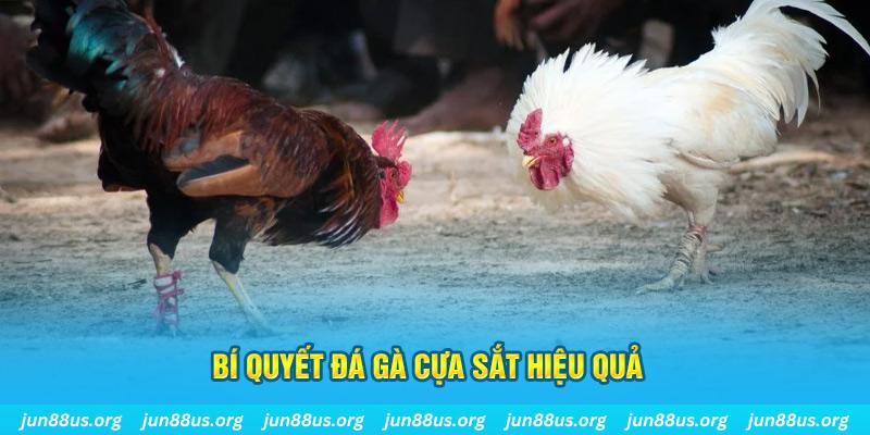 socvip xin 1 slot là gì