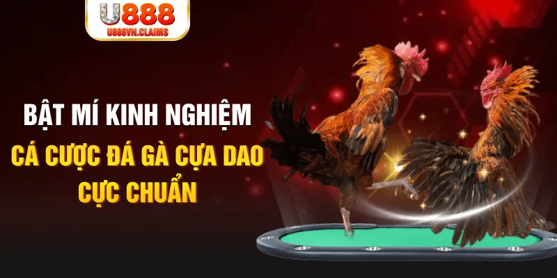 socvip tỷ lệ cá cược châu á là gì