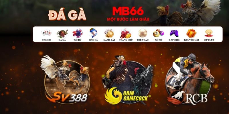 socvip đăng nhập poker số 1