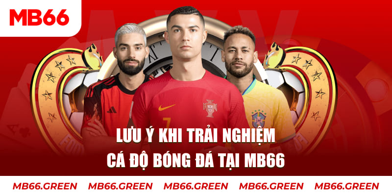socvip cá cược là gì