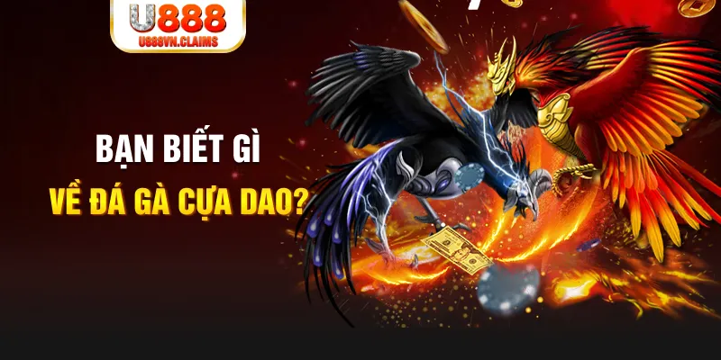 socvip nổ hủ là gì