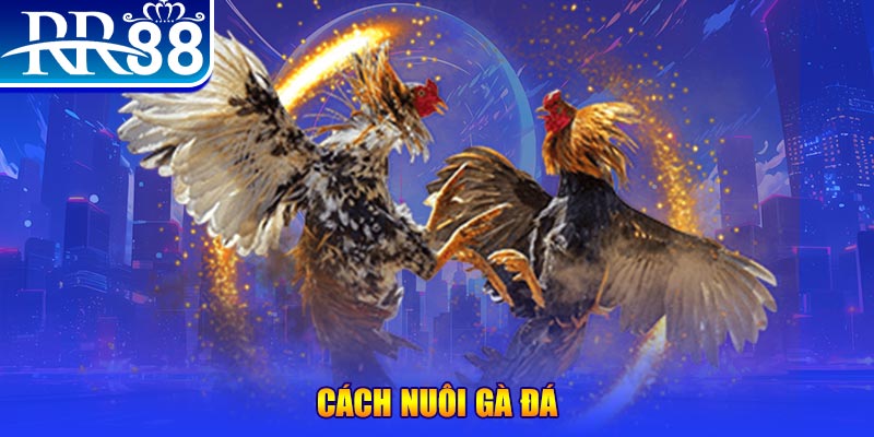 socvip xổ số an giang