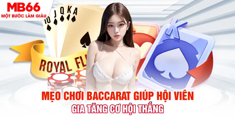 socvip VIA Trực Tuyến
