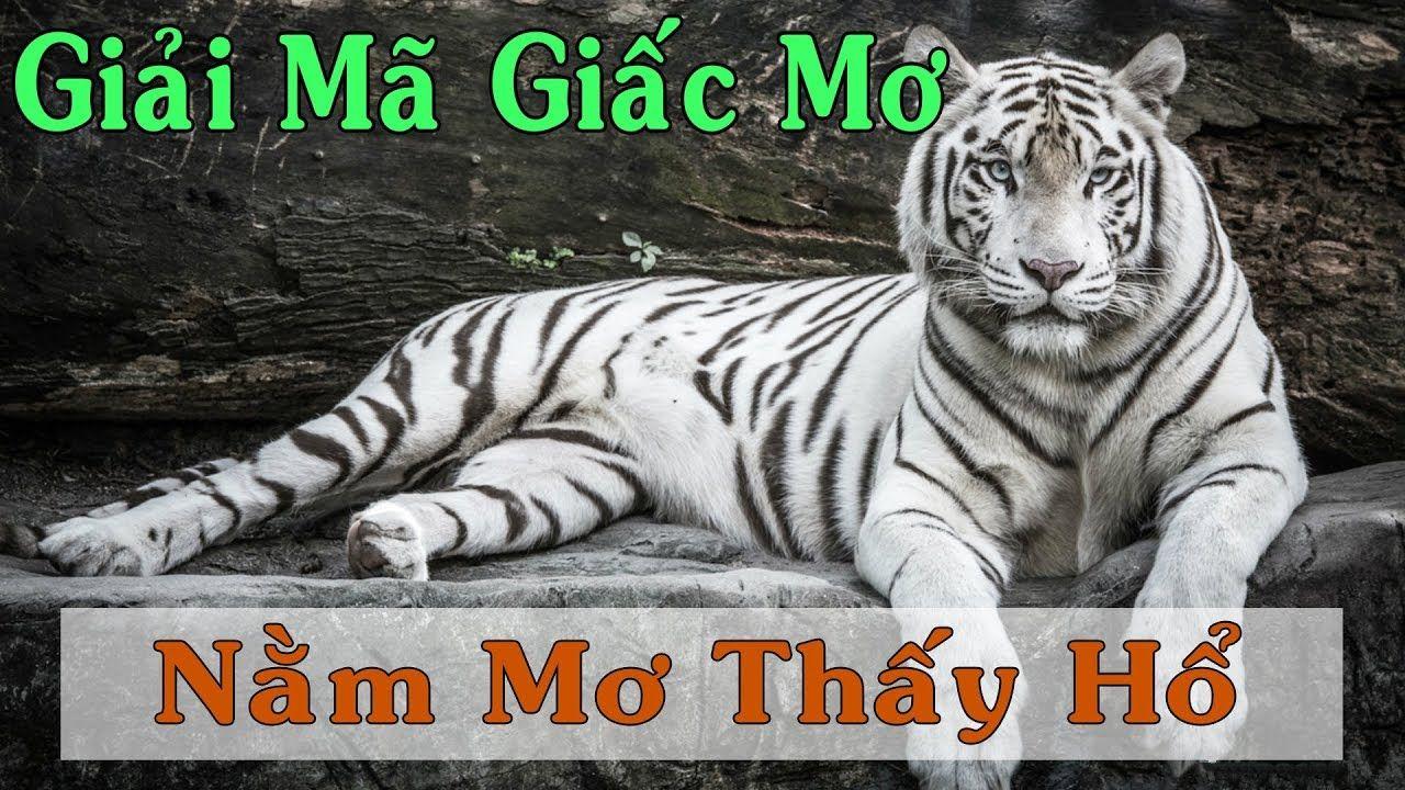 socvip WM Trực Tuyến