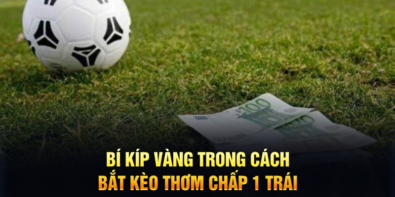 socvip sổ xô miên bắc