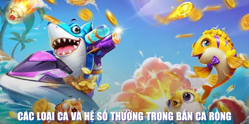 socvip đăng nhập sòng bạc mới nhất