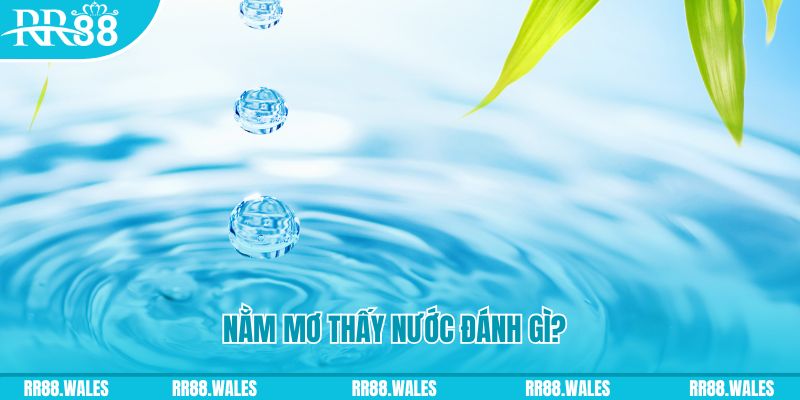 socvip TP Bắn cá