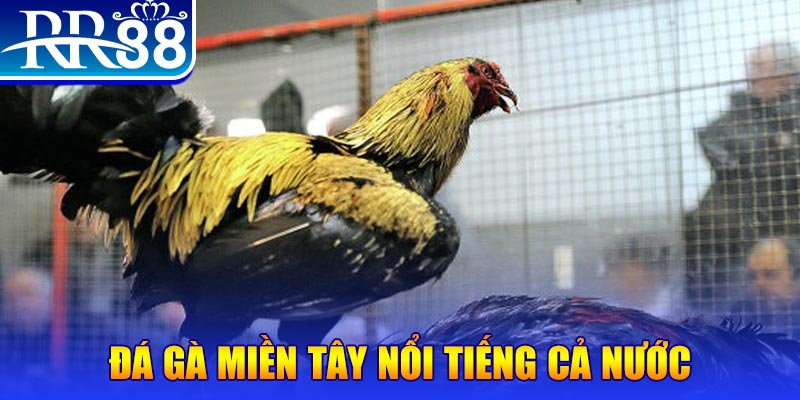 socvip JILI Game Bài 3d
