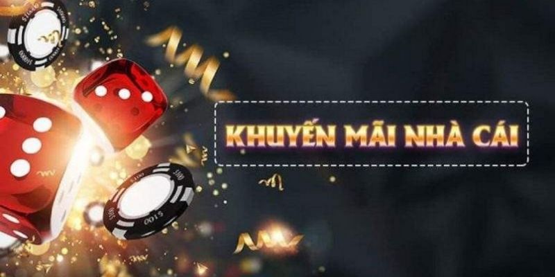 socvip what is live dealer casino