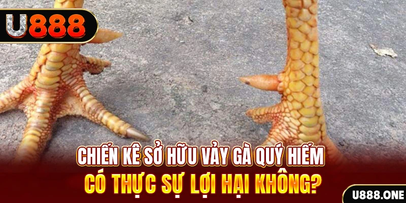 socvip nohu .mx nổ hủ là gì