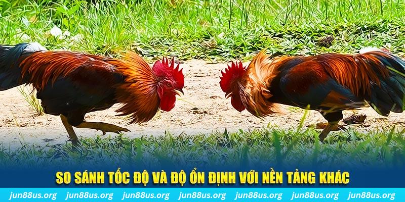 socvip đá gà hôm nay