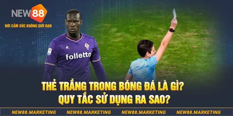 socvip gà chọi mộc hóa