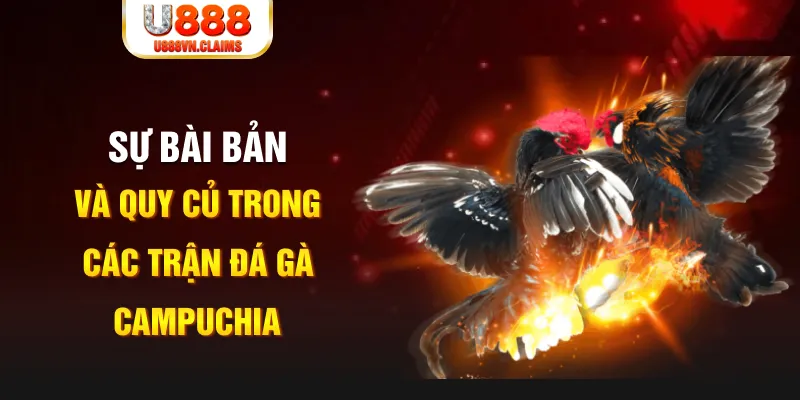 socvip YGR Điện Tử
