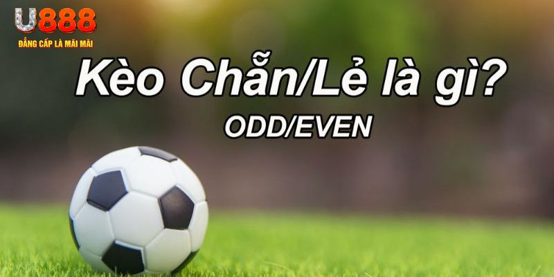 socvip đăng nhập poker hôm nay