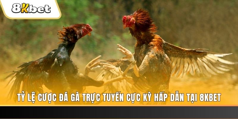 socvip đăng nhập phỏm trực tiếp