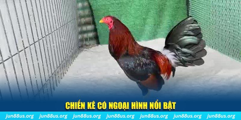 socvip chạy quảng cáo cho game bài bị phạt như thế nào