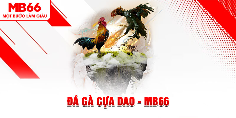 socvip đá gà sv388 gold