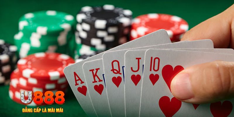 socvip đá gà trực tiếp thomo 67