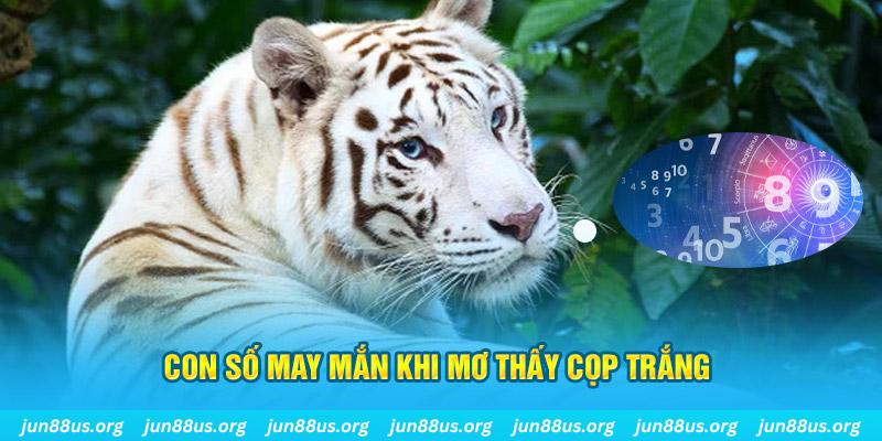 socvip đá gà trực tiếp 88